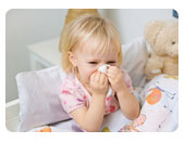 eco friendly cleaning