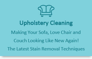 professional upholstery cleaning